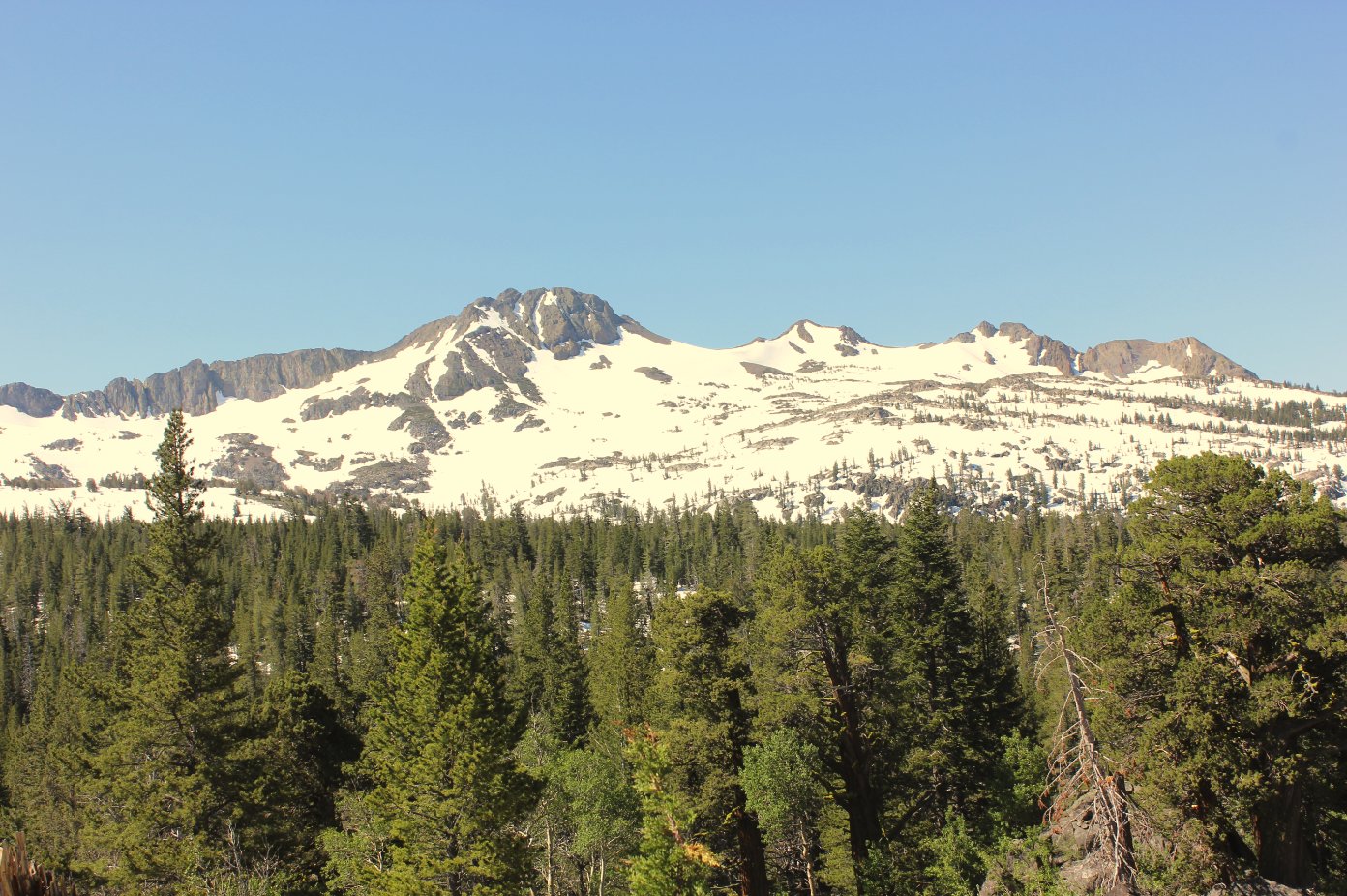 Little Round Top Ridge to Schneider Cow Camp Hike